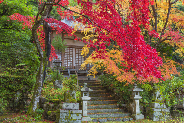 紅葉の護法堂弁財天
(c)NOBUAKI SUMIDA/SEBUN PHOTO