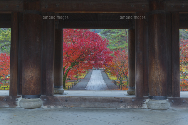 紅葉の南禅寺の三門
(c)NOBUAKI SUMIDA/SEBUN PHOTO