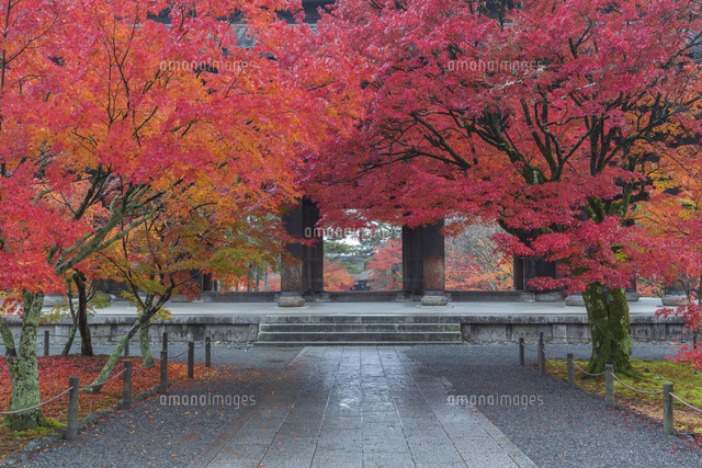 紅葉の南禅寺の三門
(c)NOBUAKI SUMIDA/SEBUN PHOTO