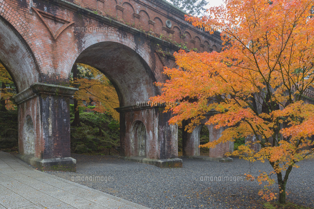 秋の南禅寺水路閣
(c)NOBUAKI SUMIDA/SEBUN PHOTO