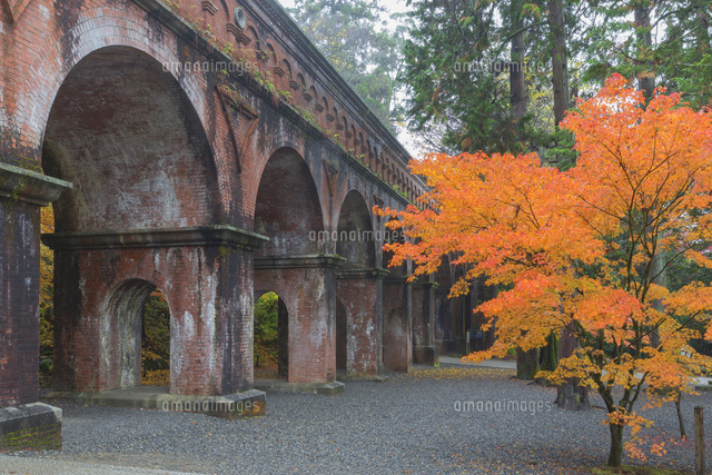 秋の南禅寺水路閣
(c)NOBUAKI SUMIDA/SEBUN PHOTO