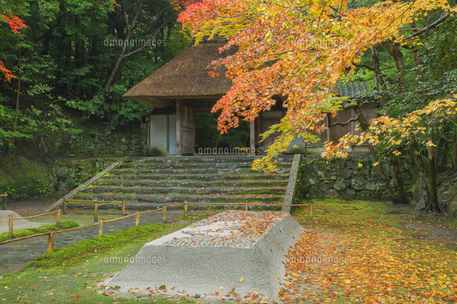秋の法然院
(c)NOBUAKI SUMIDA/SEBUN PHOTO