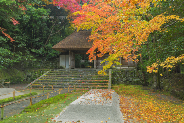秋の法然院
(c)NOBUAKI SUMIDA/SEBUN PHOTO