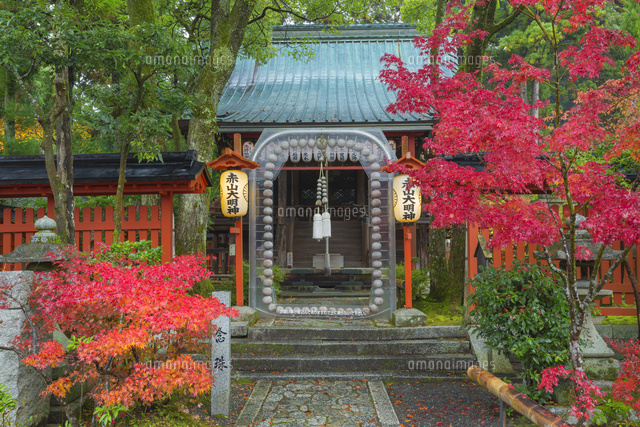 紅葉の赤山禅院
(c)NOBUAKI SUMIDA/SEBUN PHOTO