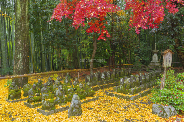 紅葉の赤山禅院
(c)NOBUAKI SUMIDA/SEBUN PHOTO