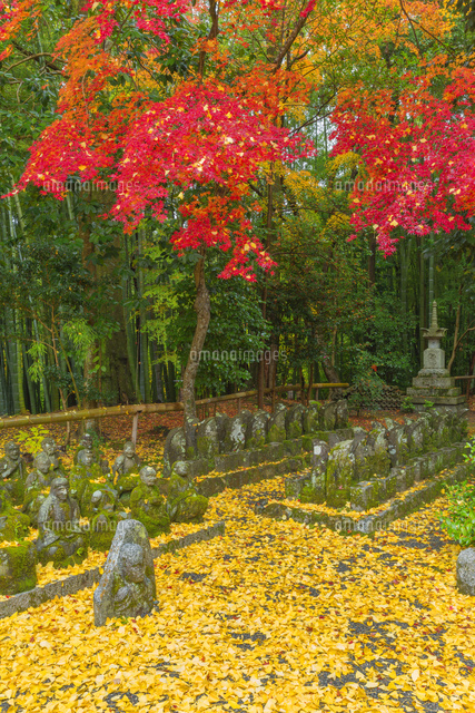 紅葉の赤山禅院
(c)NOBUAKI SUMIDA/SEBUN PHOTO