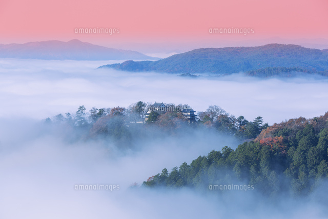 備中松山城の雲海
(c)NOBUAKI SUMIDA/SEBUN PHOTO