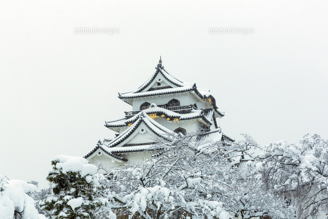 雪の彦根城
(c)NOBUAKI SUMIDA/SEBUN PHOTO