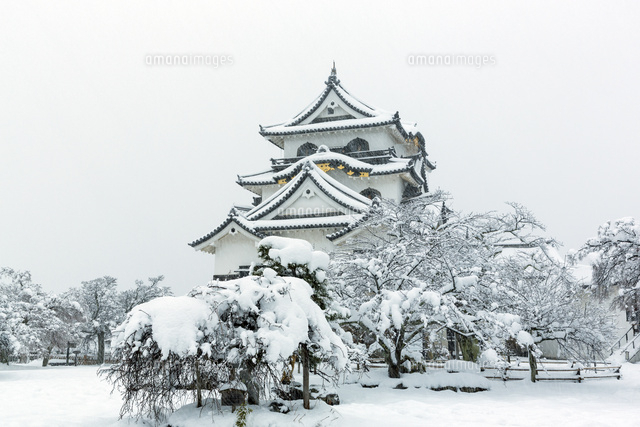 雪の彦根城
(c)NOBUAKI SUMIDA/SEBUN PHOTO