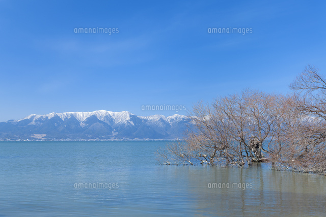 雪の比良山と琵琶湖
(c)NOBUAKI SUMIDA/SEBUN PHOTO