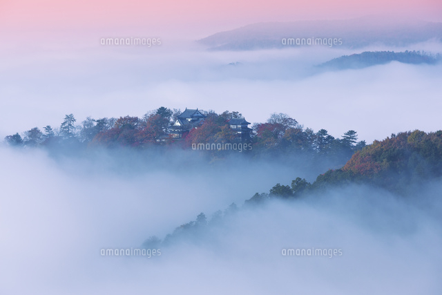 備中松山城の雲海
(c)NOBUAKI SUMIDA/SEBUN PHOTO