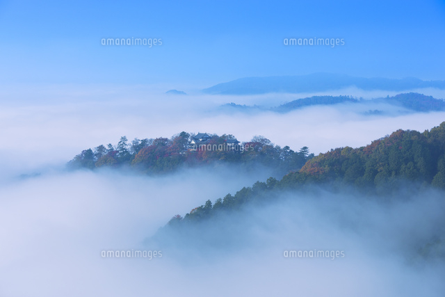 備中松山城の雲海
(c)NOBUAKI SUMIDA/SEBUN PHOTO