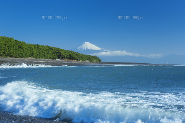 三保の松原と富士山
(c)NOBUAKI SUMIDA/SEBUN PHOTO