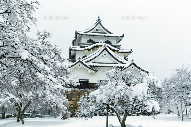 雪の彦根城
(c)NOBUAKI SUMIDA/SEBUN PHOTO