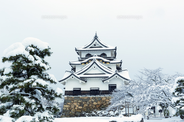 雪の彦根城
(c)NOBUAKI SUMIDA/SEBUN PHOTO