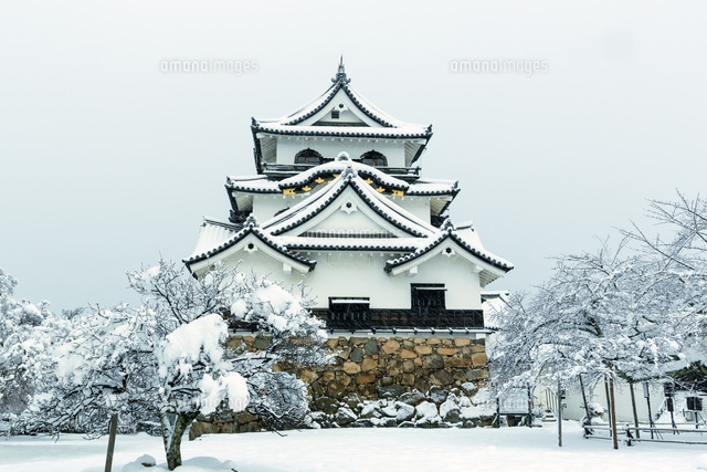 雪の彦根城
(c)NOBUAKI SUMIDA/SEBUN PHOTO
