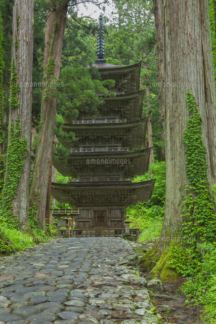 新緑の羽黒山五重塔
(c)NOBUAKI SUMIDA/SEBUN PHOTO