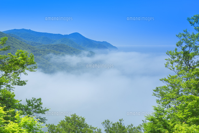仏ケ浦の雲海
(c)NOBUAKI SUMIDA/SEBUN PHOTO