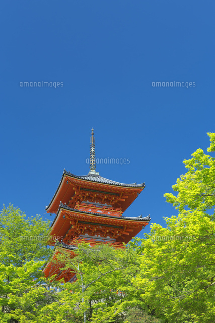 新緑の清水寺
(c)NOBUAKI SUMIDA/SEBUN PHOTO