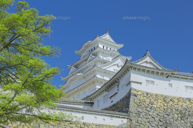 新緑の姫路城
(c)NOBUAKI SUMIDA/SEBUN PHOTO