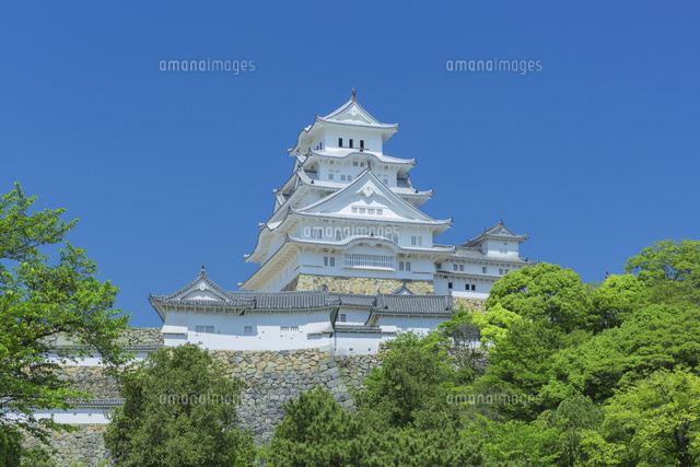 新緑の姫路城
(c)NOBUAKI SUMIDA/SEBUN PHOTO