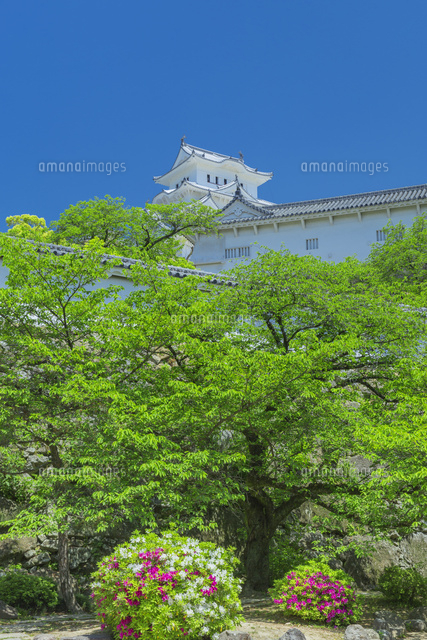 新緑の姫路城
(c)NOBUAKI SUMIDA/SEBUN PHOTO