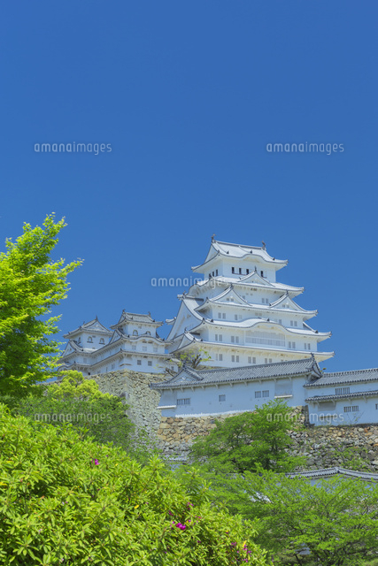 新緑の姫路城
(c)NOBUAKI SUMIDA/SEBUN PHOTO