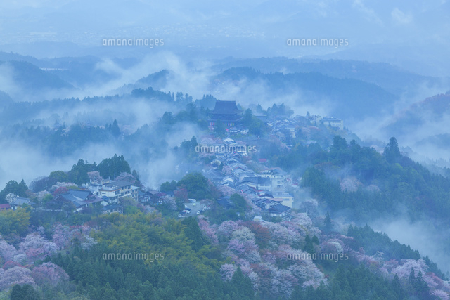 吉野山の桜と雲海
(c)NOBUAKI SUMIDA/SEBUN PHOTO