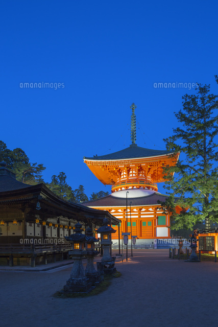 春の高野山根本大塔の夕景
(c)NOBUAKI SUMIDA/SEBUN PHOTO