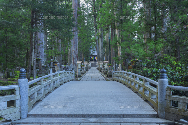 春の高野山
(c)NOBUAKI SUMIDA/SEBUN PHOTO