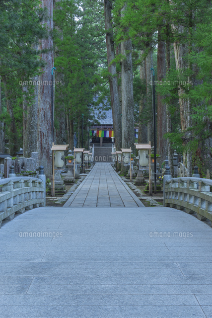 春の高野山
(c)NOBUAKI SUMIDA/SEBUN PHOTO