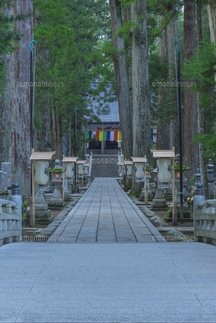 春の高野山
(c)NOBUAKI SUMIDA/SEBUN PHOTO