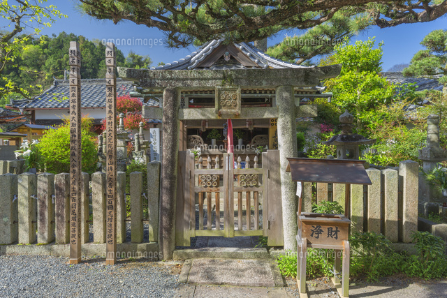 春の真田地主大権現
(c)NOBUAKI SUMIDA/SEBUN PHOTO