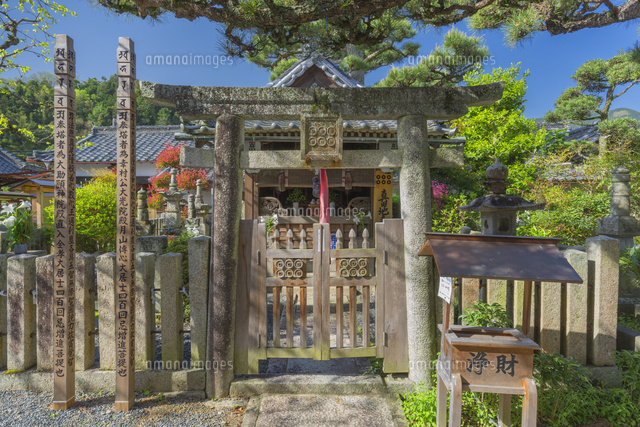 春の真田地主大権現
(c)NOBUAKI SUMIDA/SEBUN PHOTO