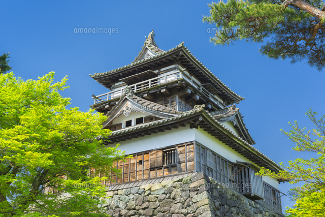 新緑の丸岡城
(c)NOBUAKI SUMIDA/SEBUN PHOTO