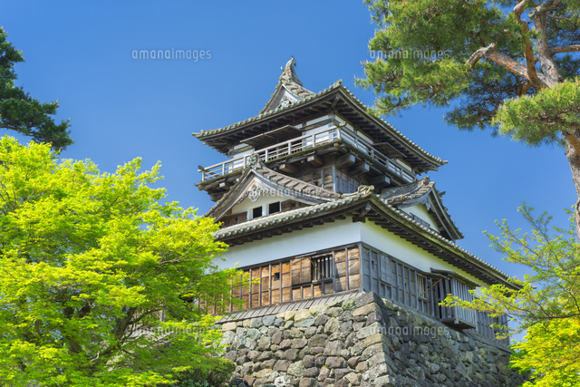 新緑の丸岡城
(c)NOBUAKI SUMIDA/SEBUN PHOTO