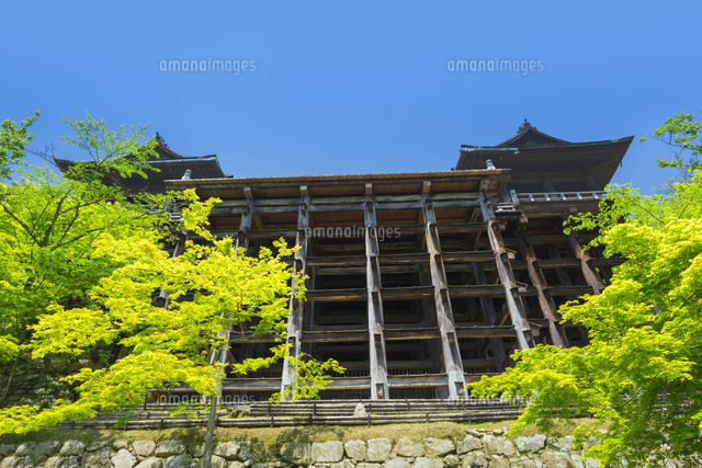新緑の清水寺
(c)NOBUAKI SUMIDA/SEBUN PHOTO