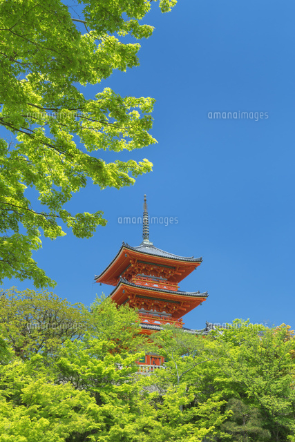 新緑の清水寺
(c)NOBUAKI SUMIDA/SEBUN PHOTO