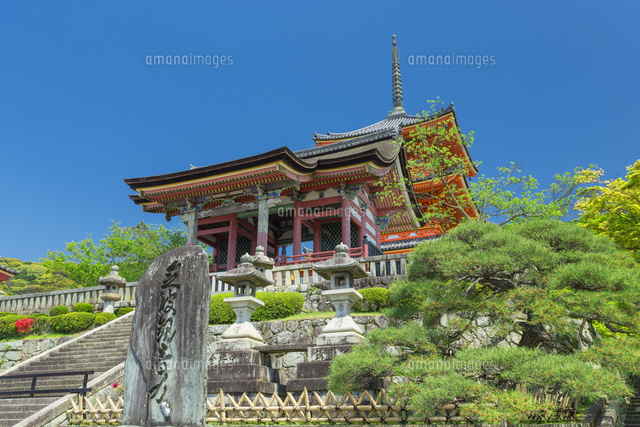 新緑の清水寺
(c)NOBUAKI SUMIDA/SEBUN PHOTO