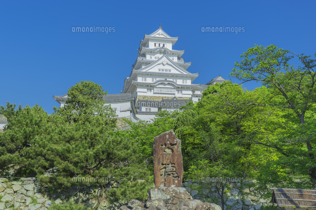新緑の姫路城
(c)NOBUAKI SUMIDA/SEBUN PHOTO