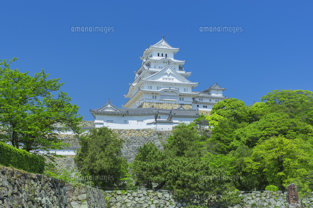新緑の姫路城
(c)NOBUAKI SUMIDA/SEBUN PHOTO
