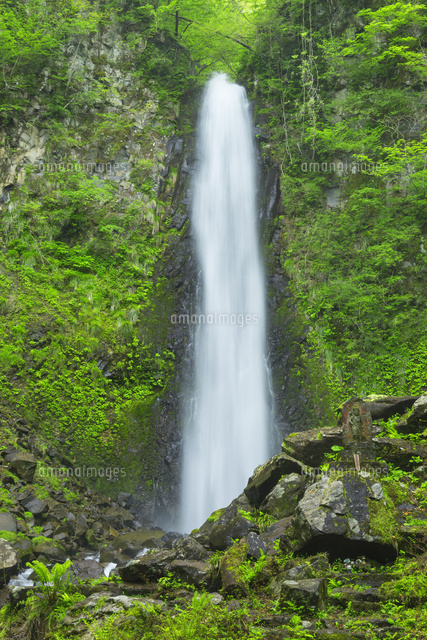 新緑の雨滝
(c)NOBUAKI SUMIDA/SEBUN PHOTO
