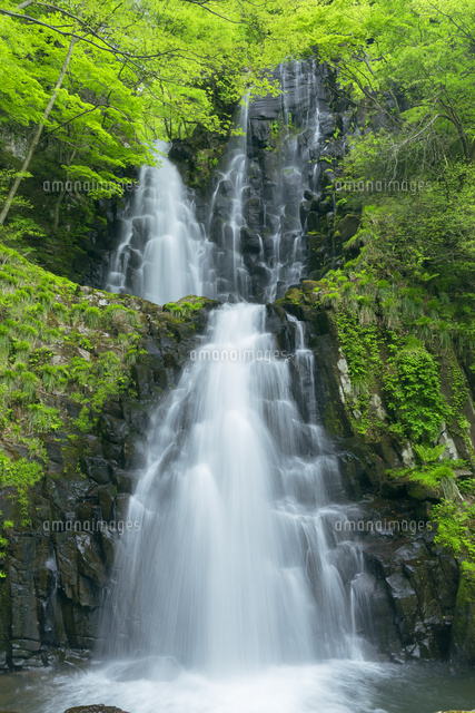 新緑の筥滝
(c)NOBUAKI SUMIDA/SEBUN PHOTO