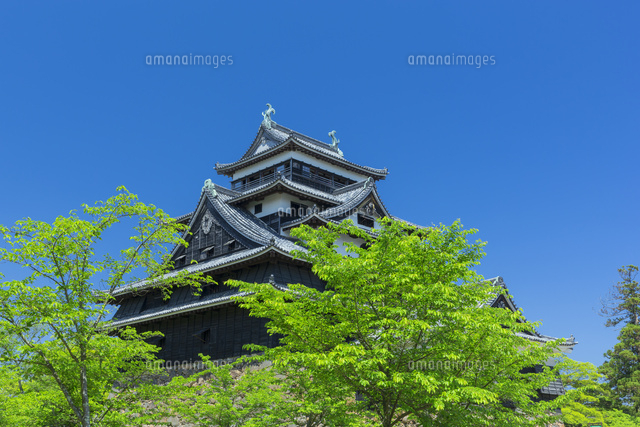 新緑の松江城
(c)NOBUAKI SUMIDA/SEBUN PHOTO