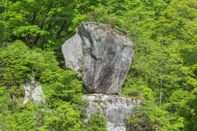 新緑の水瓶岩
(c)NOBUAKI SUMIDA/SEBUN PHOTO