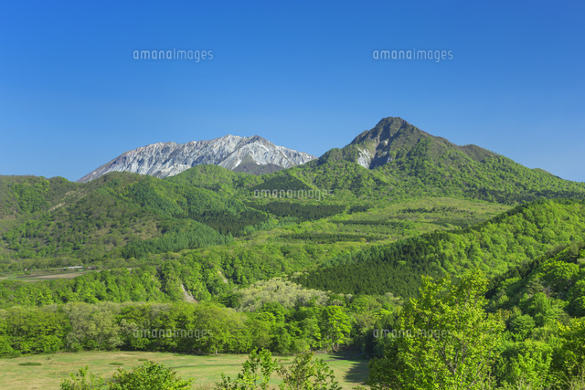 新緑の大山と烏ヶ山
(c)NOBUAKI SUMIDA/SEBUN PHOTO