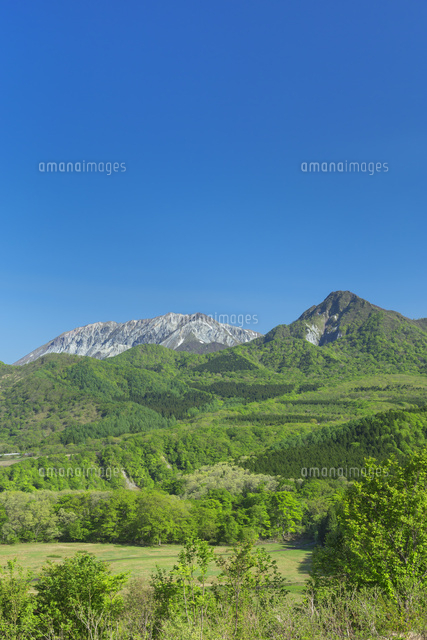 新緑の大山と烏ヶ山
(c)NOBUAKI SUMIDA/SEBUN PHOTO