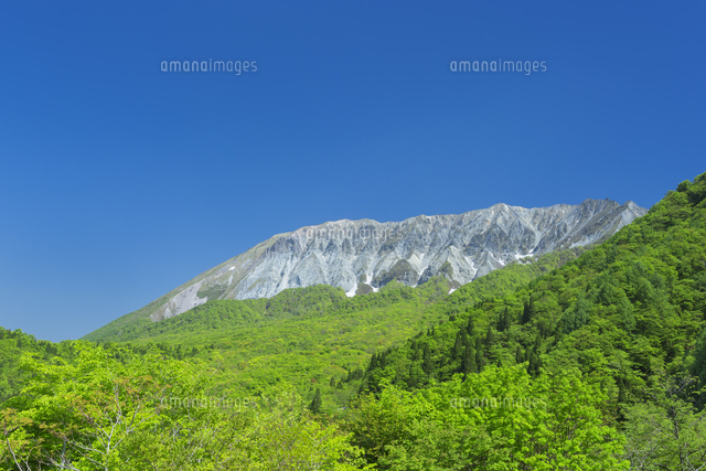 新緑の大山
(c)NOBUAKI SUMIDA/SEBUN PHOTO