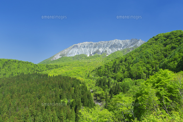 新緑の大山
(c)NOBUAKI SUMIDA/SEBUN PHOTO