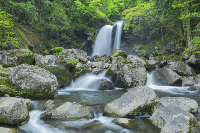 新緑の二ノ滝
(c)NOBUAKI SUMIDA/SEBUN PHOTO